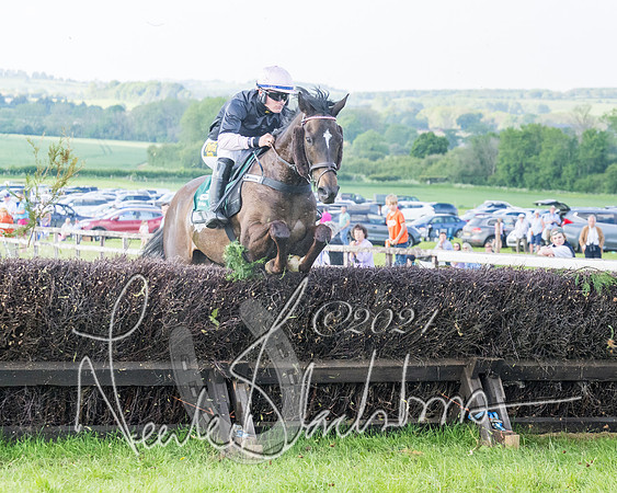 Race 7 - Veteran Horse (40 of 246)