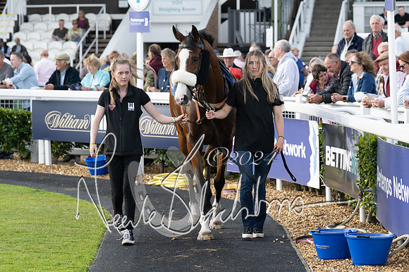 Race 3 - The pointtopoint.co.uk champion novices’ Hunter Chase (44 of 140)