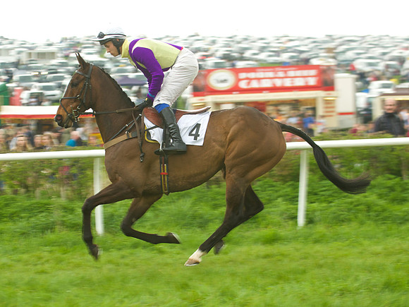 Old Berks at Lockinge Mixed Open Race