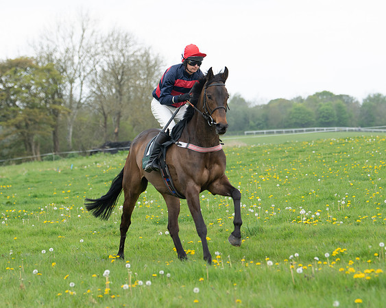 Race 2 - Jockey Club ROR veteran Horse (2 of 104)