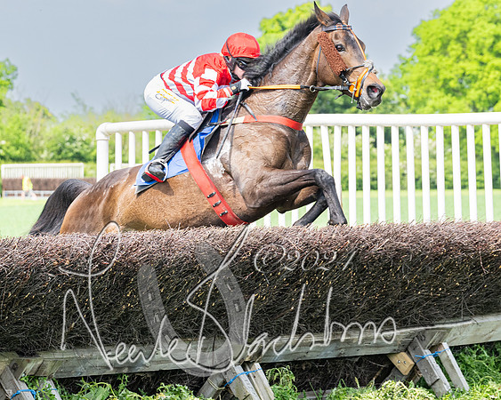 Race 2 - Restricted  (216 of 308)