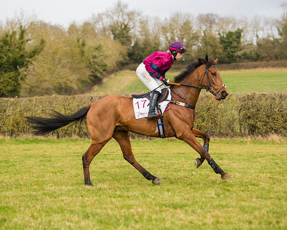 Race 2 - Open Maiden (32 of 128)