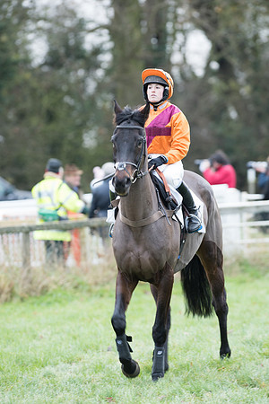 Race 6 - 2m4f Maiden 6