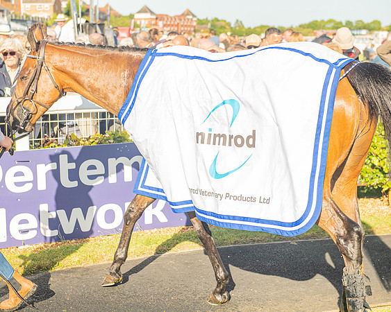 Race 2 - Nimrod Ladies Open (67 of 82)