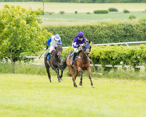 Race 5 - Restricted  (79 of 136)