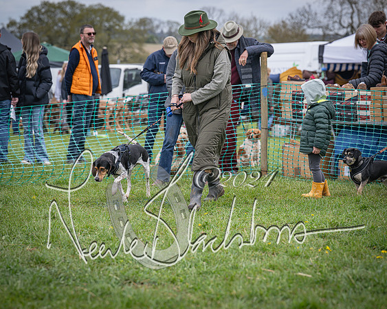 Bicester - Dog Show (65 of 106)