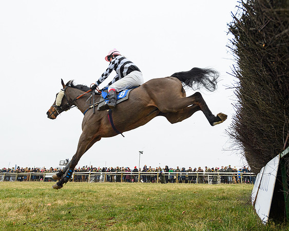 Race 3 - Novice Riders Race (98 of 180)
