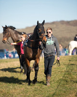 Race 2 Open Maiden (6 of 170).jpg