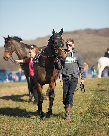 Race 2 Open Maiden (6 of 170).jpg
