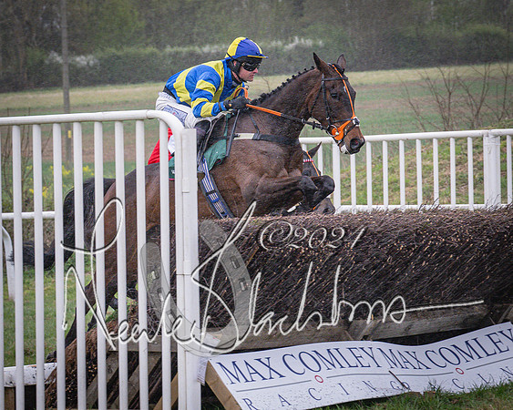 Race 7 - The Jockey Club maiden race for Mares and Fillies only (40 of 96)