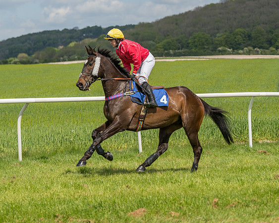 Race 2 - Restricted  (25 of 90)
