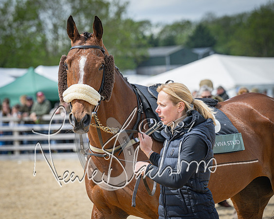 Race 1 - Warwickshire Hunt members steeplechase 2m62y (8 of 83)