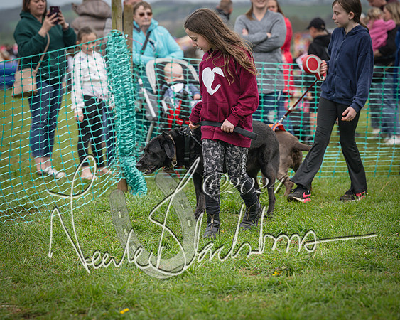 Bicester - Dog Show (34 of 106)