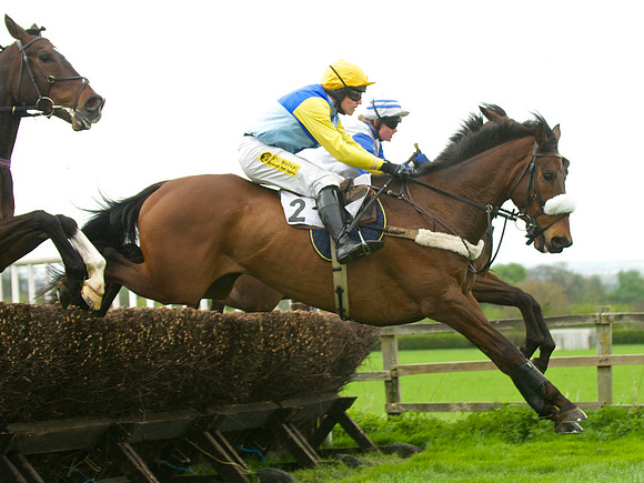 Kimblewick Hunts Point to Point at Kingston Blount Racecourse on Saturday 12th April 2014 Race 1 Confined Hunts Race.