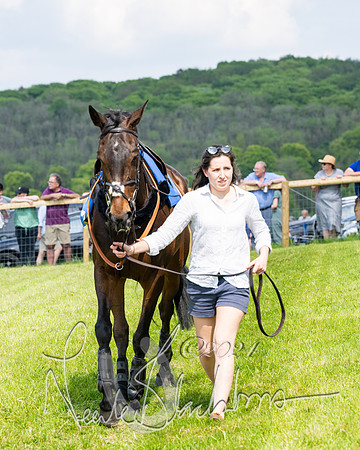 Race 3 - Ladies Open  (17 of 133)