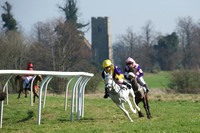 Pony Races -  13