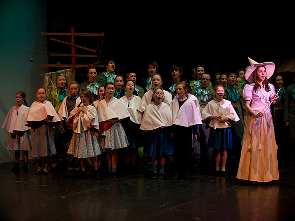 The Wizard of OZ -  213