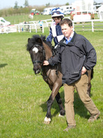 Pony Race 1 -  2