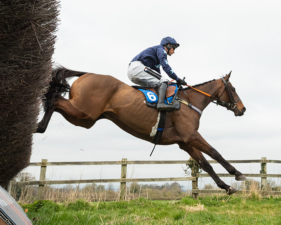 Race 2 - Veteran Horse (68 of 153)
