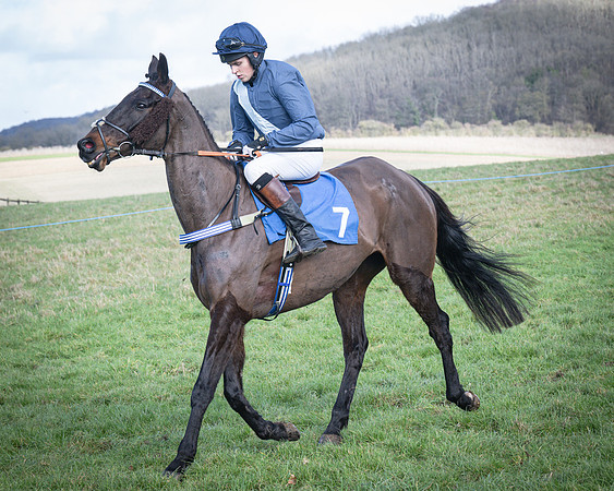 Race 5 - Home counties Grand National (53 of 194)