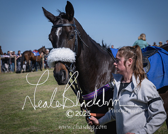 Race 2 - The Maiden (13 of 118)