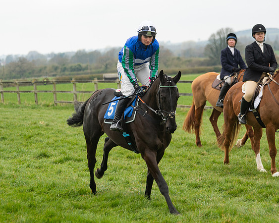 Race 3 - Open maiden  (31 of 273)