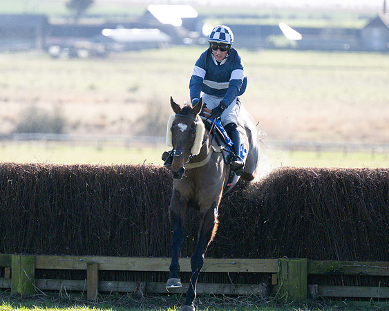 Race 1 - Veteran Horse (58 of 62)