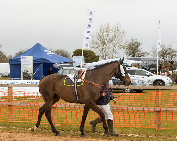 Race 3 - Mens Open (2 of 79).jpg