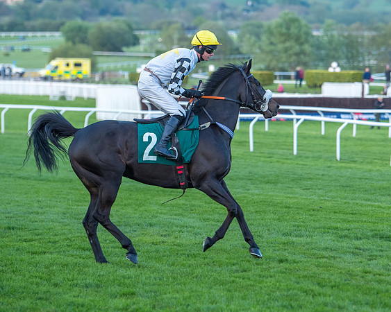 Race 7 - Glos Hussars  (102 of 245)
