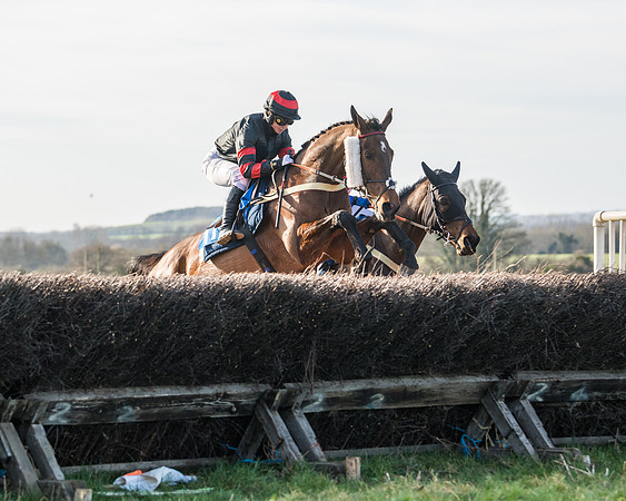 Race 5 - Restricted (41 of 146)