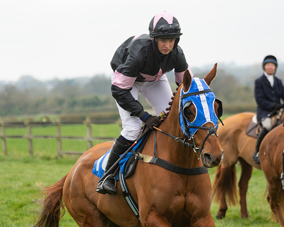 Race 3 - Open maiden  (28 of 273)