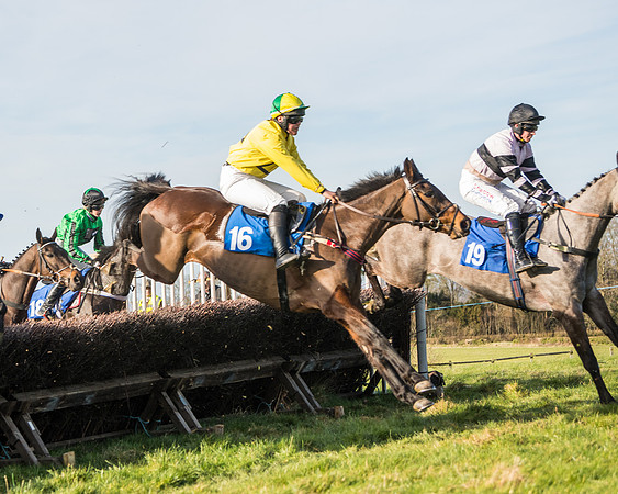 Race 5 - Restricted (28 of 146)