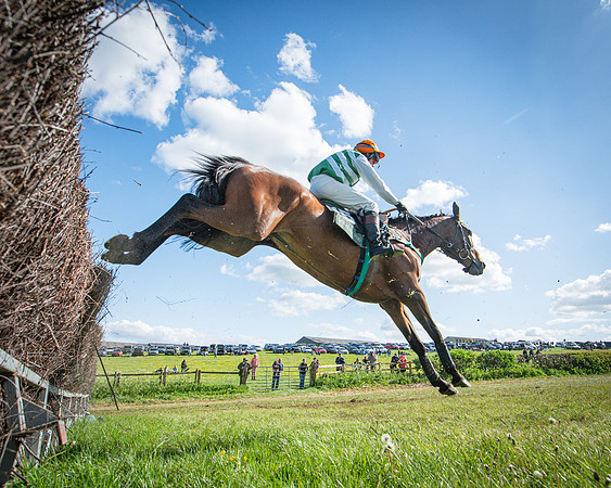 Race 5 - F N Pile and Sons PPORA Novice Riders (71 of 151)