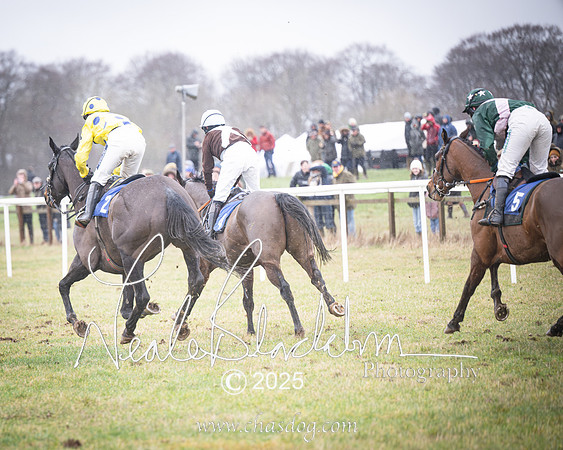 Race 4 - Ladies Open (41 of 66)-Enhanced-NR
