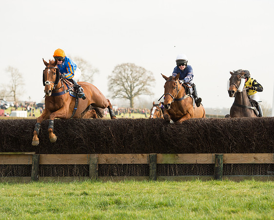 Race 6 - Open Maiden Race (48 of 99).jpg