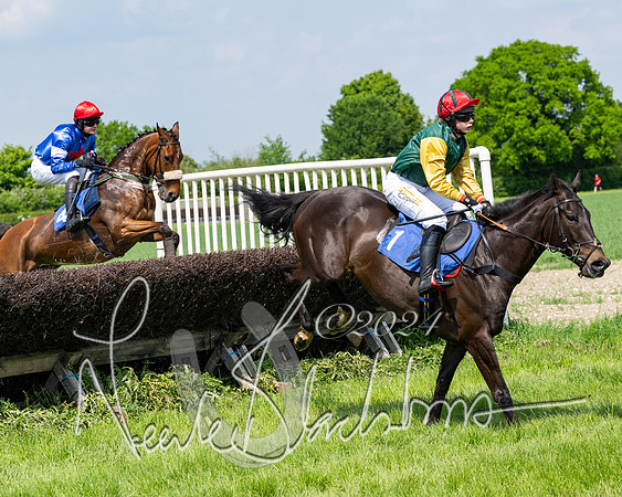 RAce 1 - Conditionsn [Level 2] (108 of 219)