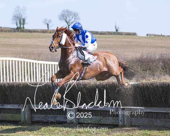 Race 1 - Maiden (107 of 188)