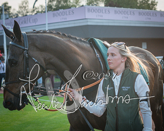 Race 6 - The Brooklands watches Golden Miller chronograph open hunter’s steeplechase 4m 97y (27 of 396)