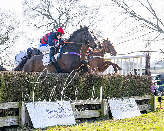 Race 1 - Maiden (113 of 188)