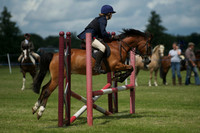 SOHS PC Summer Show at BCA 17th June 2012