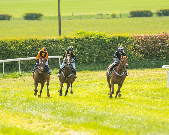 Race 4 - Ladies Open  (26 of 79)