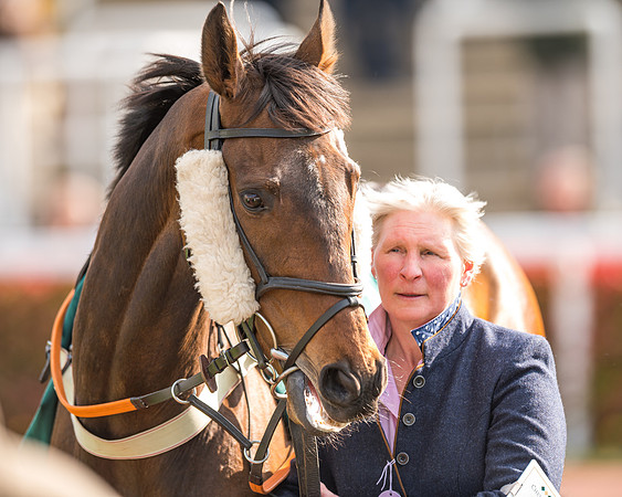 Race 2  -  Intermediate Point to Point Hunters' Steeple Chase (30 of 277)
