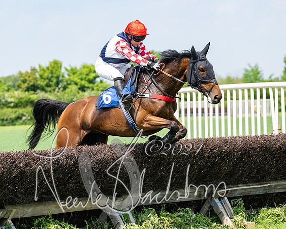 RAce 1 - Conditionsn [Level 2] (116 of 219)