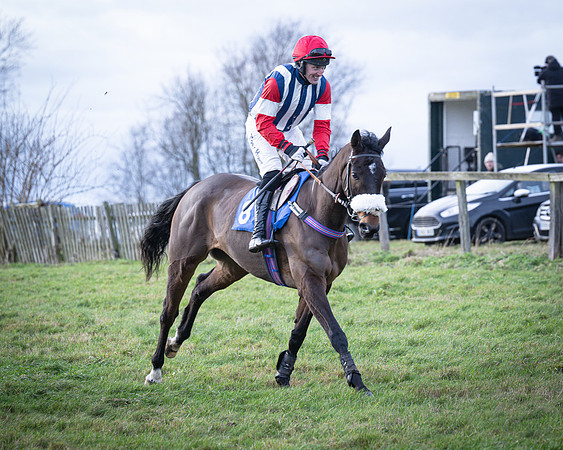 Race 7 - Maiden Conditions (10 of 164)