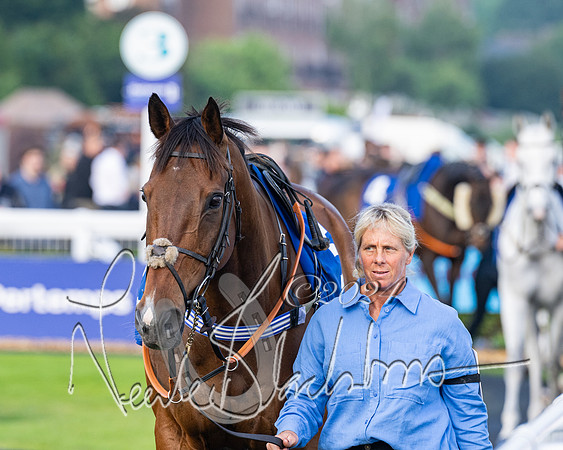 Race 4 - Stratford Foxhunters (17 of 145)