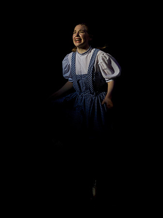 The Wizard of OZ -  354