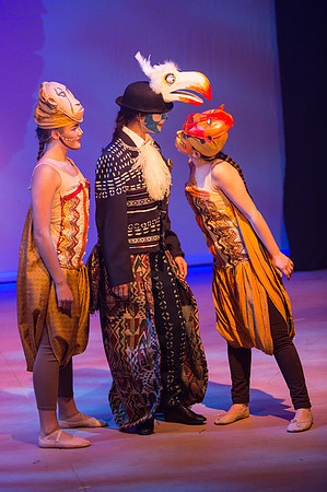 Lion King (107 of 484).jpg