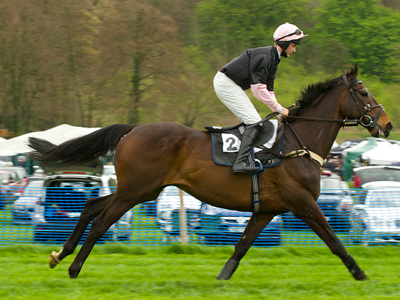 Kimblewick Point to Point at Kingston Blount Racecourse on Saturday 12th April 2014