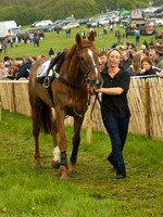 Old Berks at Lockinge Open Maiden