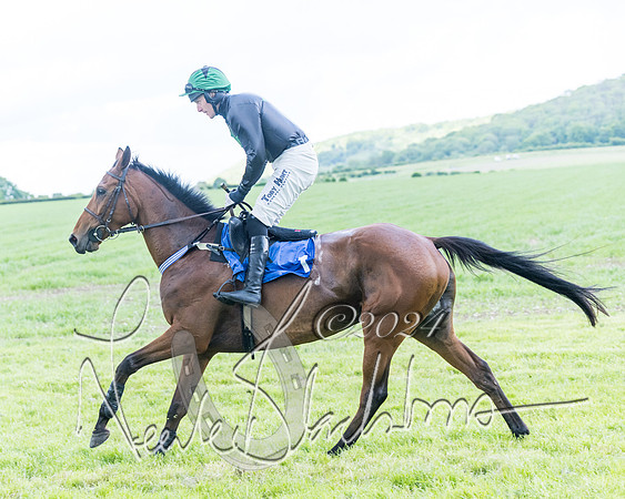 Race 3 - Conditions (91 of 367)